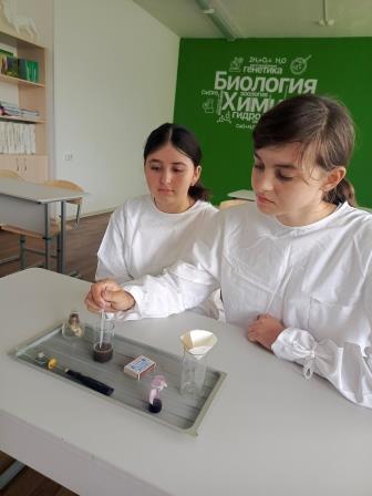 Проводим исследования